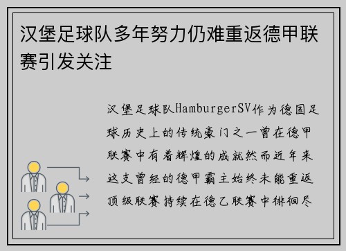 汉堡足球队多年努力仍难重返德甲联赛引发关注